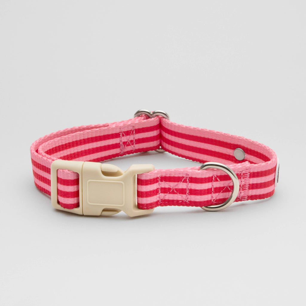 Hundehalsband gestreift pink & rot: L
