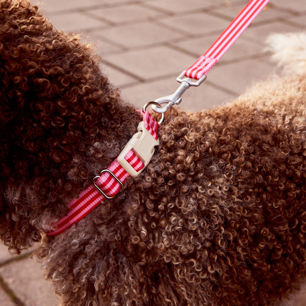 Hundehalsband gestreift pink & rot: L