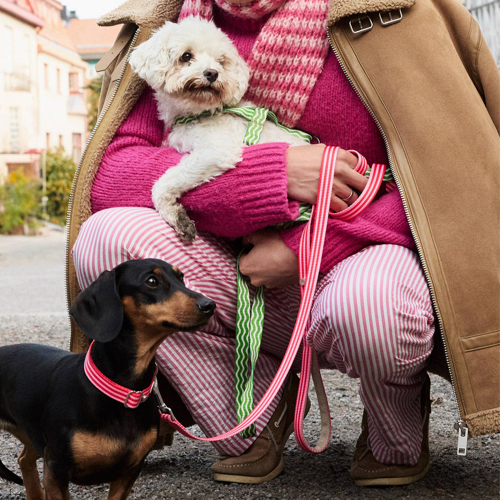Hundeleine Gestreift Rot & Pink